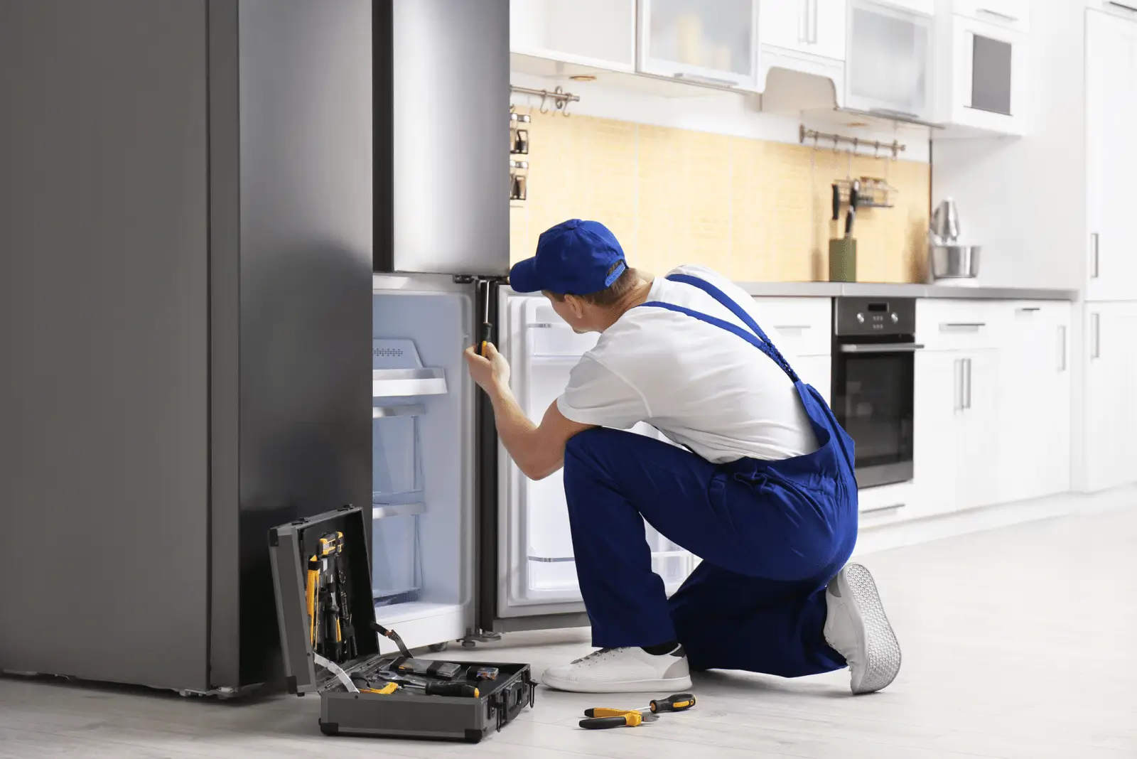 Electrolux Refrigerator Repair